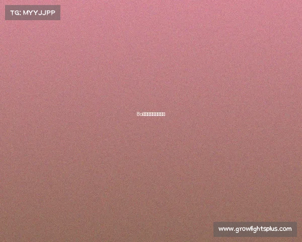 8o后经典电子游戏名称 8o后经典电子游戏名称