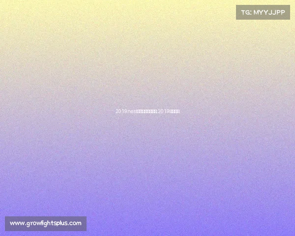 2019nest电子竞技大赛视频;2019电竞比赛