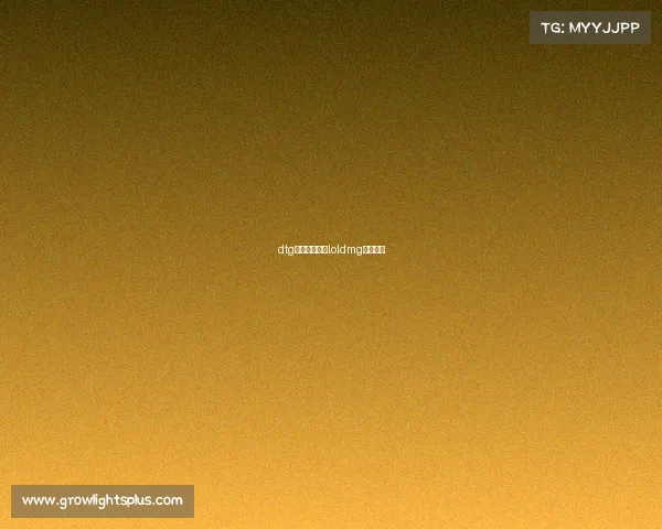 dtg电子竞技战队loldmg电竞战队