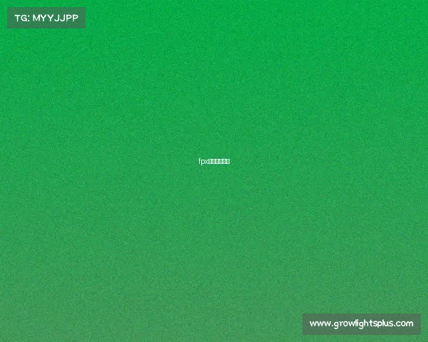 fpx战队小天资料 fpx战队小天资料