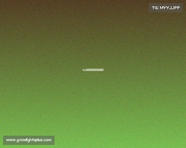 ep电子竞技俱乐部老板是谁