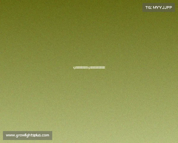 ig电子竞技何浩佳、ig电子竞技俱乐部创始人 ig电子竞技何浩佳、ig电子竞技俱乐部创始人