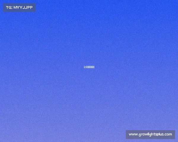 lol旧梦去哪了 lol旧梦去哪了