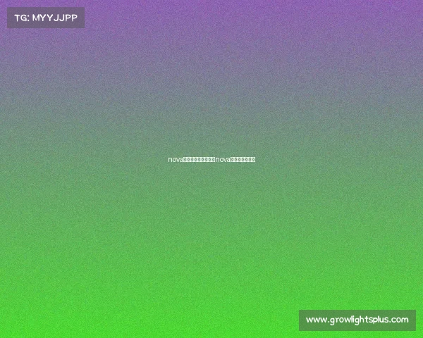 nova电子竞技俱乐部招聘nova电子俱乐部微博