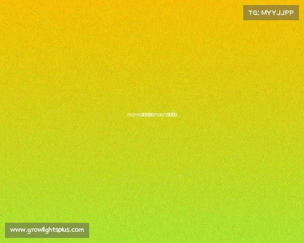 mone电子竞技—moon电子竞技