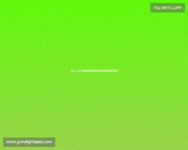 plaintext中国电竞荣耀巅峰：十大经典赛事与辉煌战绩回顾