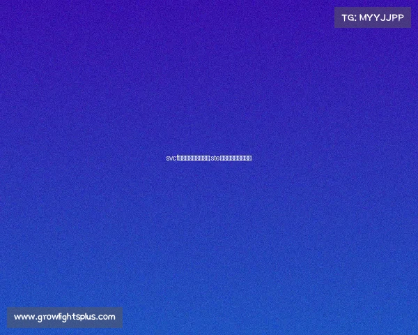 svcf电子竞技俱乐部微博;ste电子竞技俱乐部微博 svcf电子竞技俱乐部微博;ste电子竞技俱乐部微博