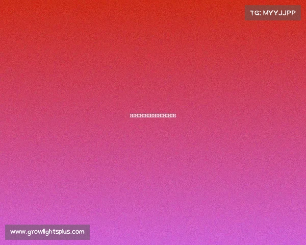 《复仇者之刃：电竞俱乐部的荣耀征途》