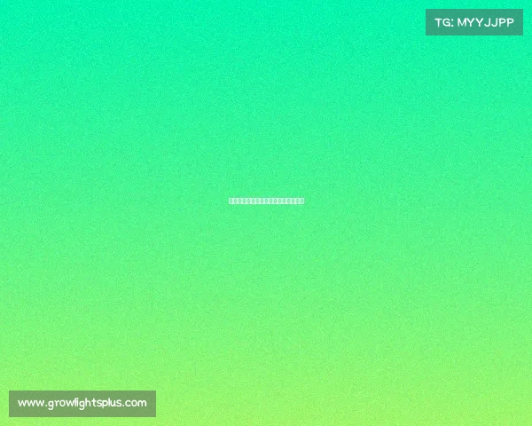 《电竞狂欢夜:谁将加冕年度王者?》 《电竞狂欢夜:谁将加冕年度王者?》