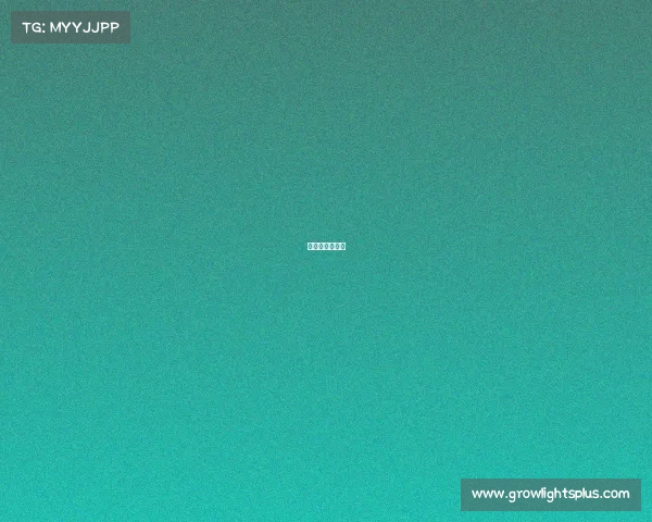 三星电竞俱乐部 三星电竞俱乐部