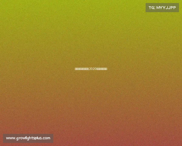 下半年电子竞技赛事;2020年电子竞技赛事