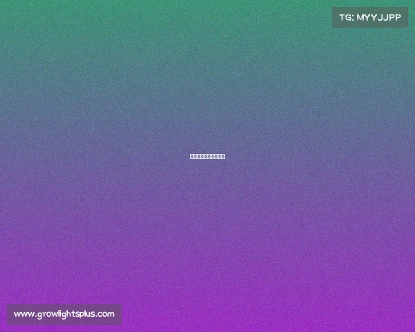 乌海电力职业技术学院 乌海电力职业技术学院