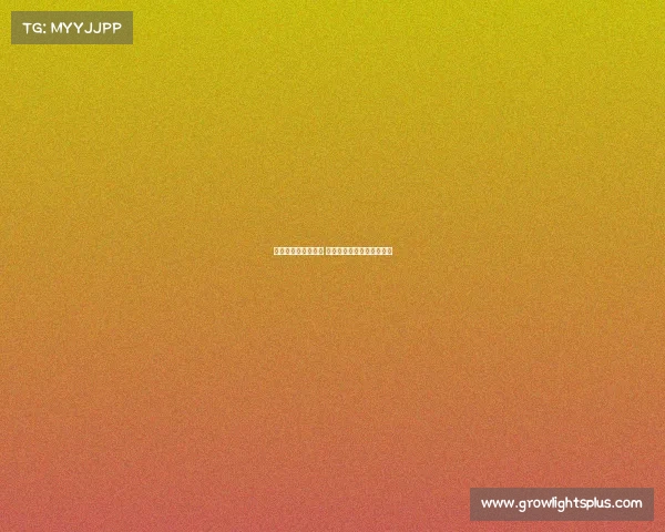 中国电子竞技小哥哥 中国电子竞技小哥哥叫什么 中国电子竞技小哥哥 中国电子竞技小哥哥叫什么