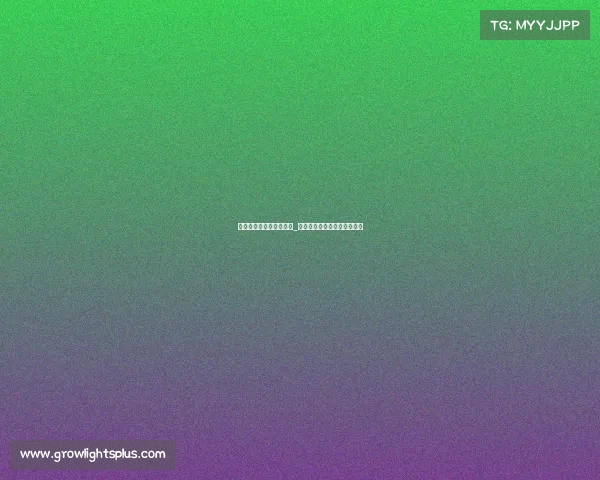 亚运电子竞技解说员工资_亚运电子竞技解说员工资多少