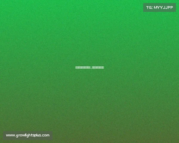 保定科技学院电子竞技_保定科技学院口碑