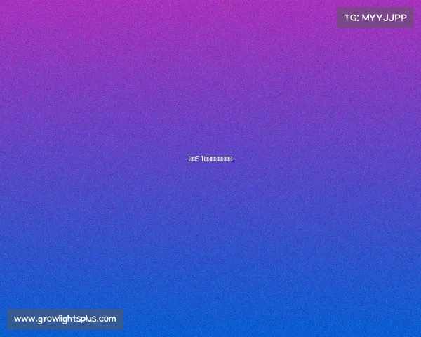 内江51区电竞俱乐部网咖 内江51区电竞俱乐部网咖