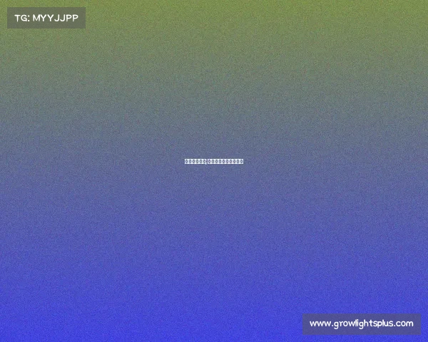 创客电子竞技;创客电子竞技平台官网 创客电子竞技;创客电子竞技平台官网