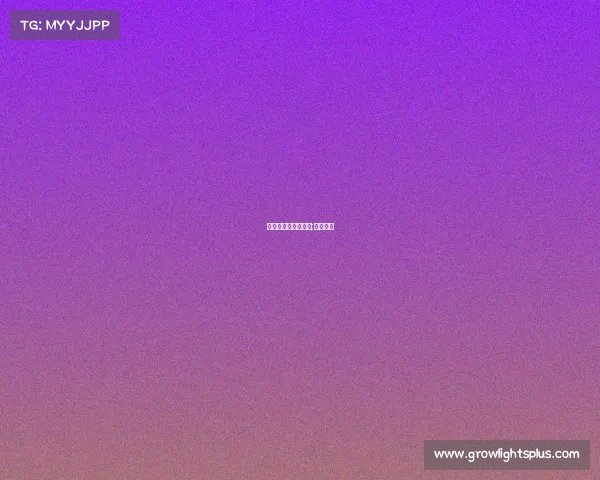 华山电子竞技俱乐部;华山电器