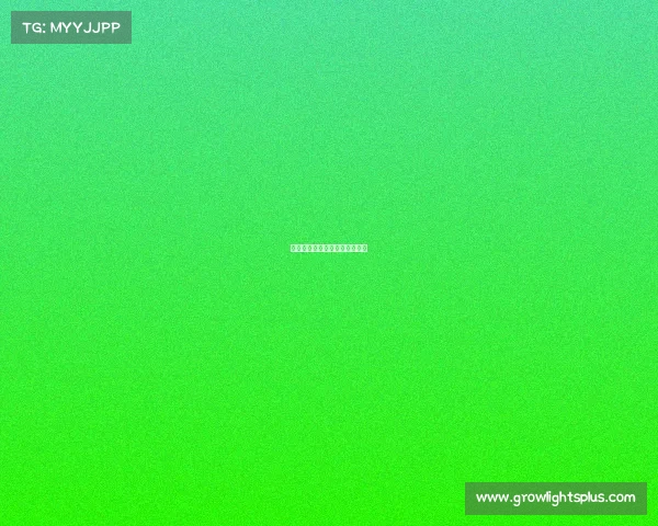 南广电竞：探索人才培养新路径