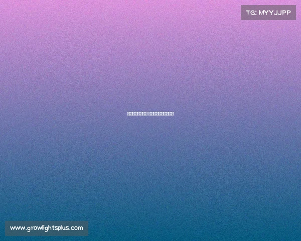 厦软电子竞技专业 厦软电子竞技专业排名