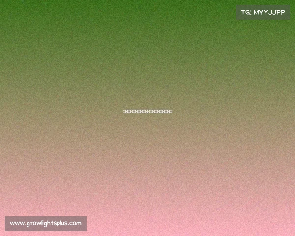 各大城市电子竞技推广会—电子竞技赛事推广