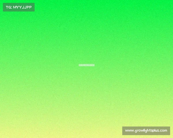 和平精英电子竞技俱乐部 和平精英电子竞技俱乐部