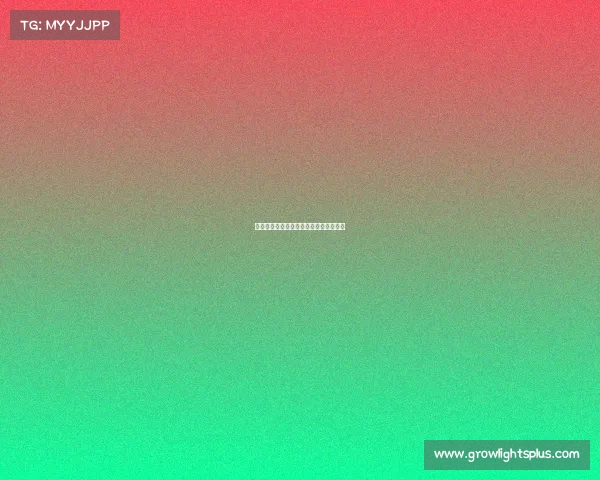 国内国外电子竞技比赛各国电子竞技水平