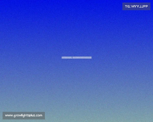 外设品牌电子竞技;硬核装备竞锋芒，狭路相逢亮剑时