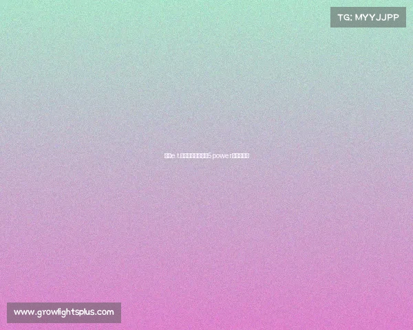 大连e.t.电子竞技场—大连5power电竞俱乐部