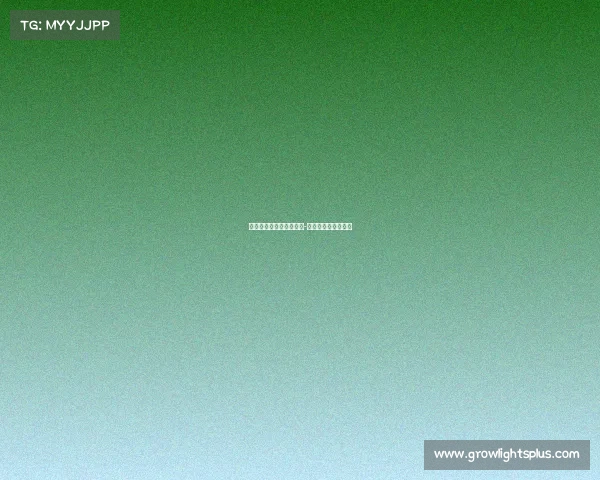 太原万达广场电子竞技赛-太原万达有电玩城吗