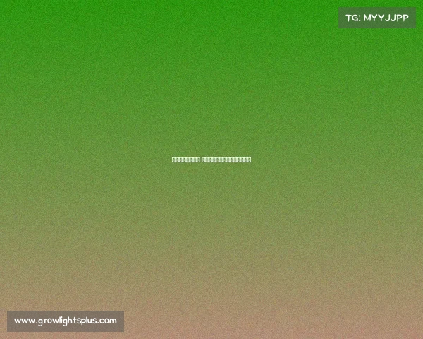 奥运有电子竞技么 电竞能否入奥？新赛场引发热议