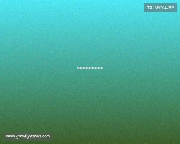 宁夏电竞服务价格明细与官方价目指南