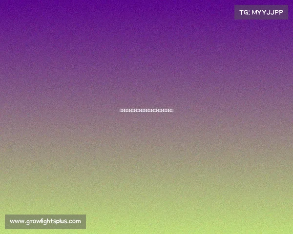 山东潍坊电子竞技比赛—山东潍坊电竞比赛于洪兴