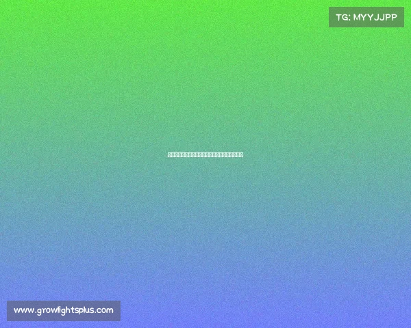 巅峰对决:电竞热浪再袭,谁将加冕荣耀之冠?? 巅峰对决:电竞热浪再袭,谁将加冕荣耀之冠??