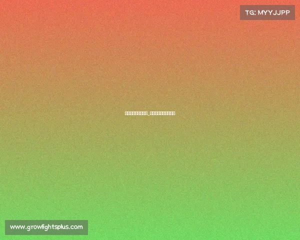 开封市腾龙电子竞技_开封龙腾科技有限公司 开封市腾龙电子竞技_开封龙腾科技有限公司