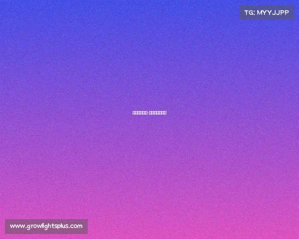 成熟电子竞技-电子竞技叫什么