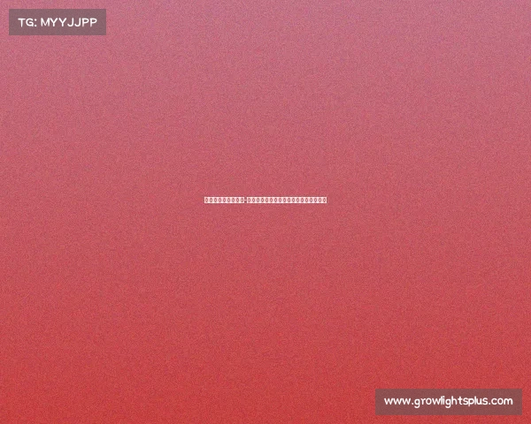 昆明电竞学校在哪里-春城玩家的硬核装备：电竞耳机选购指南