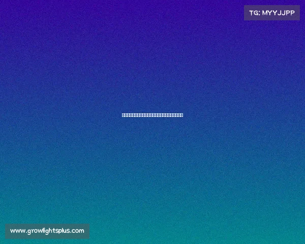 杨涛电竞选手、周涛的电竞风云：不为人知的幕后较量