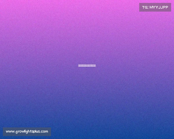 《尖叫冠军：电竞突围赛》