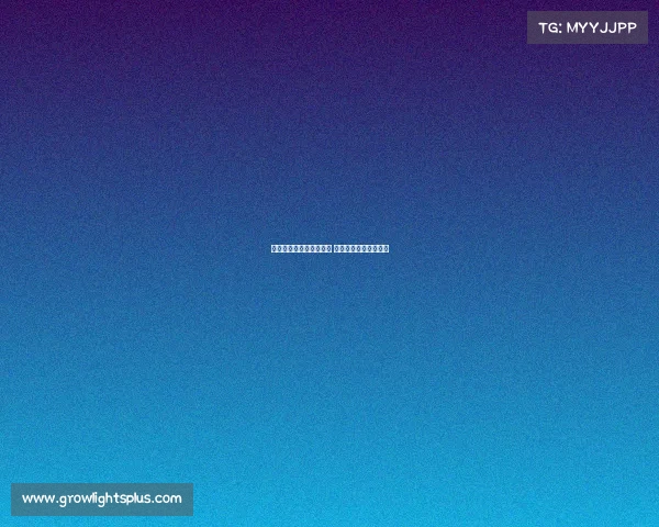 奥运会电子竞技项目几块 北京奥运会有电子竞技 奥运会电子竞技项目几块 北京奥运会有电子竞技