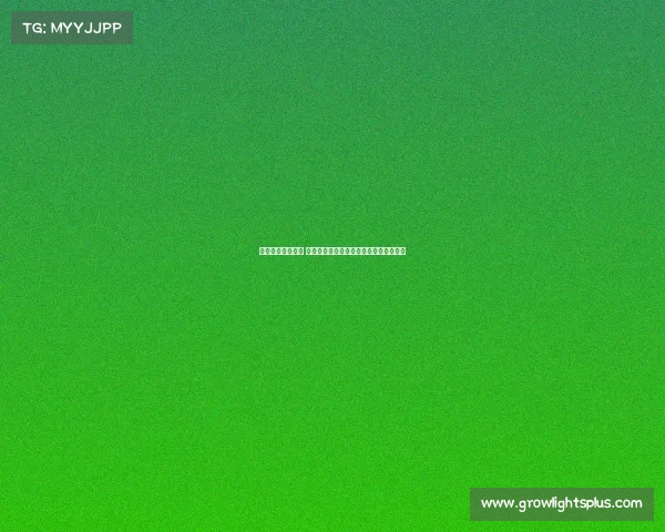 延安电子竞技协会 红色电竞浪潮涌动，延安打造青春新名片