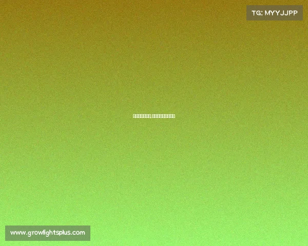 电子竞技三十年,电子竞技从哪年开始