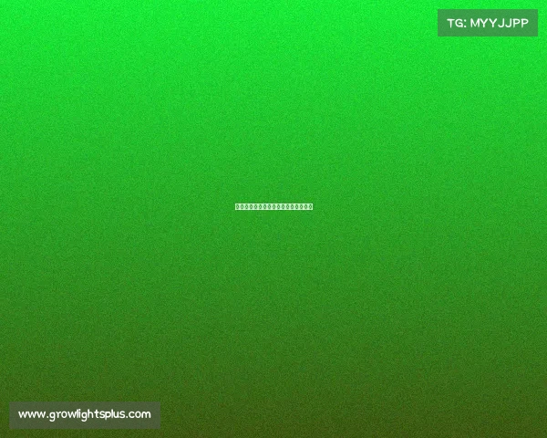 电子竞技工资会计分录—电子竞技薪酬 电子竞技工资会计分录—电子竞技薪酬