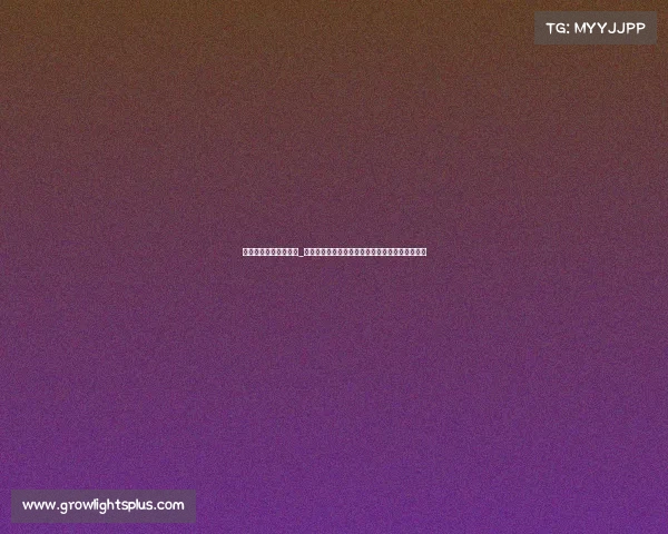 电子竞技未来趋势发展_《元宇宙与云竞赛：电子竞技的下一个黄金赛道》