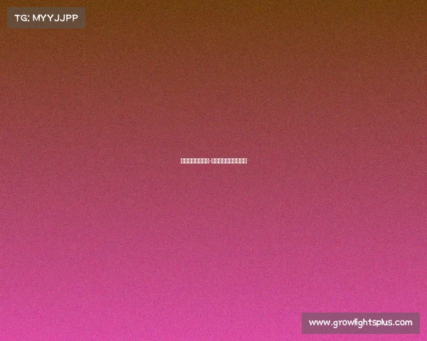 电子竞技行业报告-电子竞技行业研究报告 电子竞技行业报告-电子竞技行业研究报告