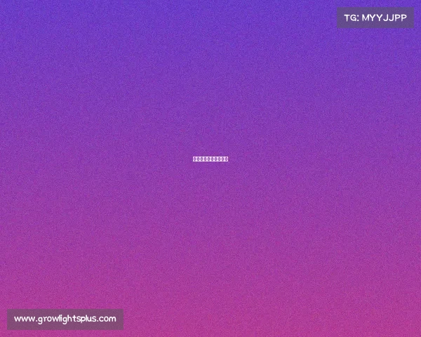 盲人电子眼可以看见吗