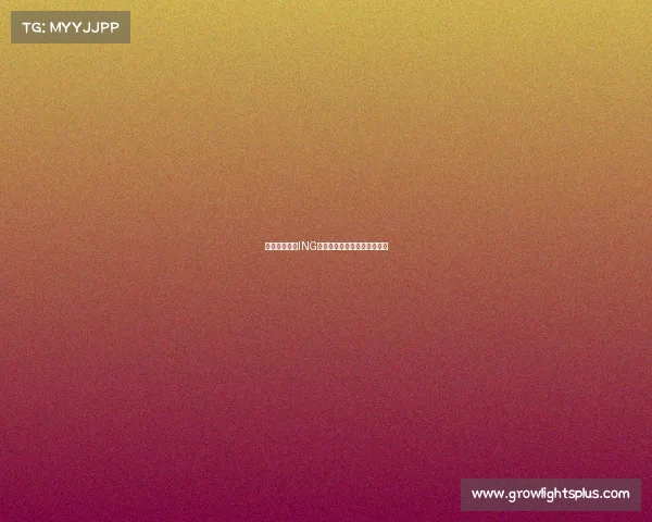 荣耀铸就征程ING战队热血集结,剑指巅峰对决 荣耀铸就征程ING战队热血集结,剑指巅峰对决