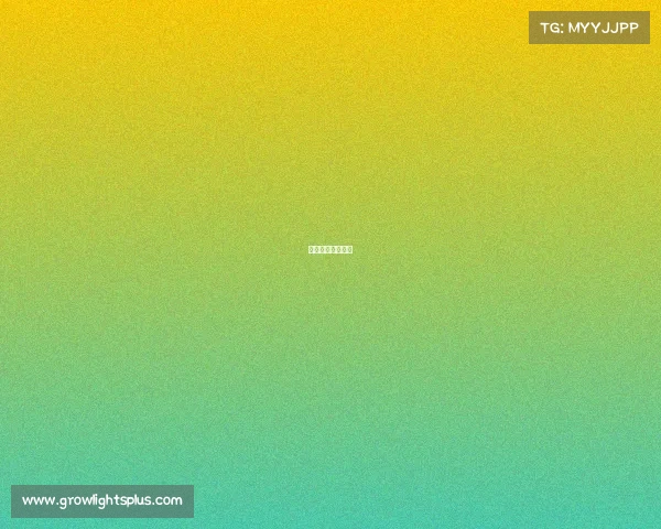 赤焰狼选什么技能 赤焰狼选什么技能