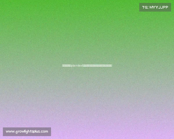 韩国电竞法案plaintext京畿道电子体育振兴框架构建与实践路径研究 韩国电竞法案plaintext京畿道电子体育振兴框架构建与实践路径研究